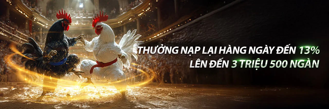 Đá gà Trực Tuyến WinRAR 2026